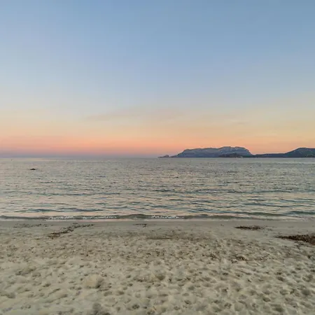 Belvedere 18 - 3 Shared Pool