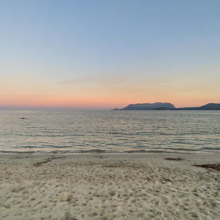Belvedere 18 - 3 Shared Pool Olbia