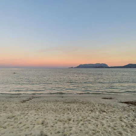 Belvedere 18 - 3 Shared Pool Olbia